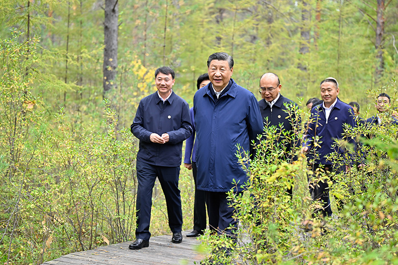 9月6日至8日，中共中央總書記、國家主席、中央軍委主席習(xí)近平在黑龍江考察。這是6日下午，習(xí)近平在大興安嶺地區(qū)漠河市漠河林場自然林區(qū)考察